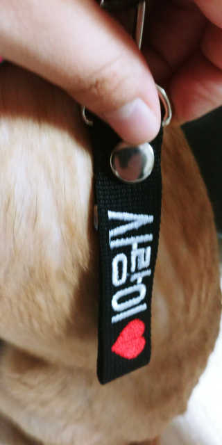 조태현님이 올린 리뷰 사진 2
