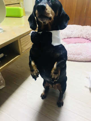 민블리님이 올린 리뷰 사진 3