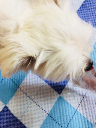 당근님이 올린 리뷰 사진 3