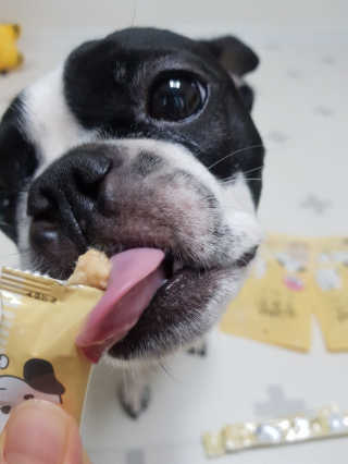 [펫토리아]짜먹는 한입뚝딱 강아지.고양이 마약간식 — 5점을 준 리뷰어가 2019년 8월 올린 사용 사진