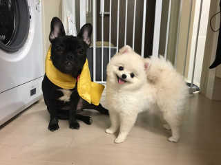 YuJinLee님이 올린 리뷰 사진 1