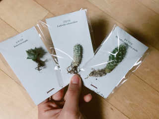 haejikk님이 올린 리뷰 사진 4