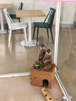꾸눙맘님이 올린 리뷰 사진 3