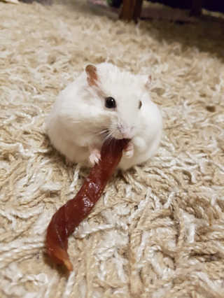 무밍우밍우님이 올린 리뷰 사진 1