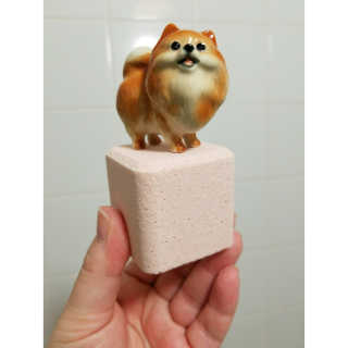 Peepingpomeranian님이 올린 리뷰 사진 1