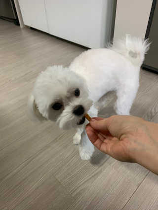 뽀또님이 올린 리뷰 사진 4