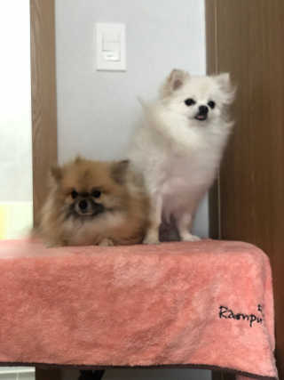 유주렁님이 올린 리뷰 사진 2