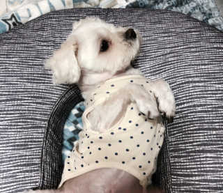 두부콩님이 올린 리뷰 사진 1