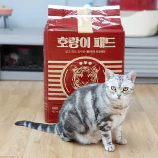 제니언니님이 올린 리뷰 사진 2