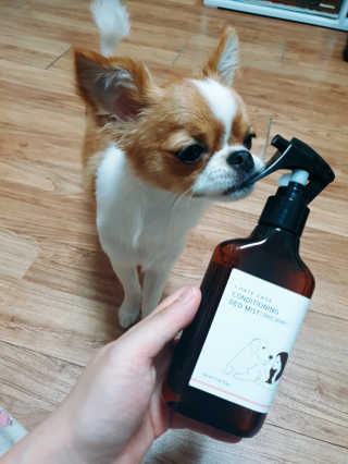 꼬몽쓰님이 올린 리뷰 사진 3