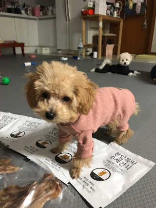 모모맘님이 올린 리뷰 사진 3