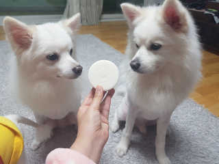 sys님이 올린 리뷰 사진 1
