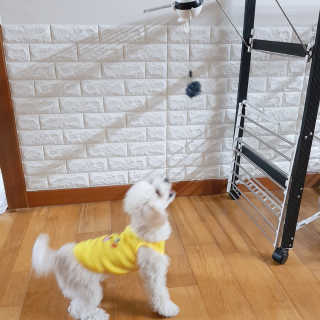 민동2님이 올린 리뷰 사진 4