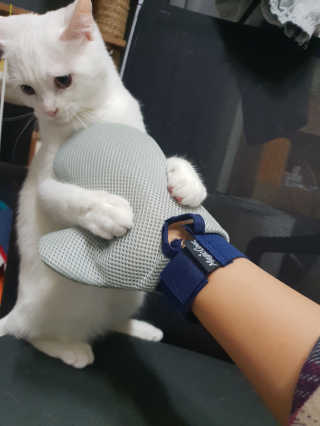 옹님이 올린 리뷰 사진 4
