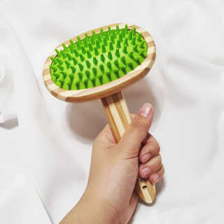 쏠님이 올린 리뷰 사진 2