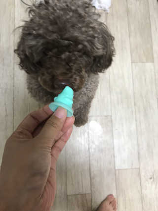 ChristineUm님이 올린 리뷰 사진 2