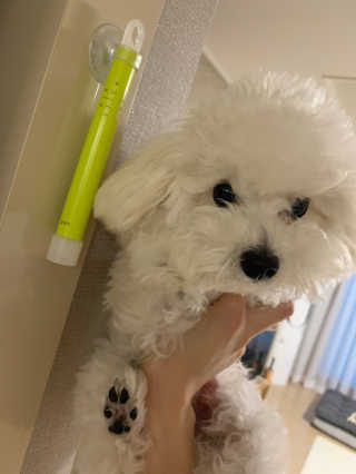 Ella님이 올린 리뷰 사진 2