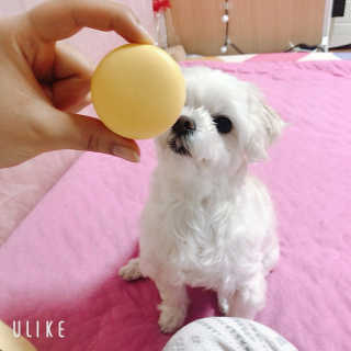 🦄행운의여신유니콩🦄님이 올린 리뷰 사진 1