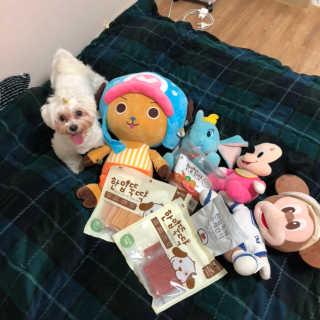 도담님이 올린 리뷰 사진 1