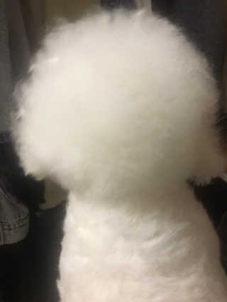 갱스님이 올린 리뷰 사진 3