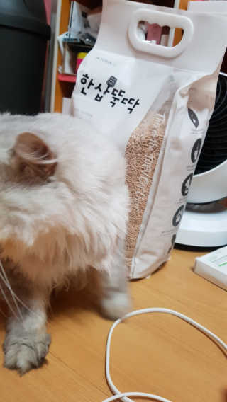 이영실님이 올린 리뷰 사진 4