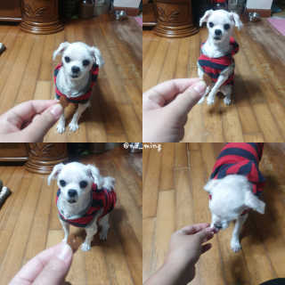 랄라나미님이 올린 리뷰 사진 4