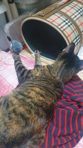 먹방슈트리아님이 올린 리뷰 사진 4