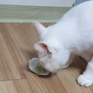 현뚜님이 올린 리뷰 사진 1