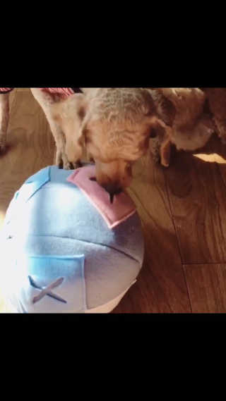 아몽이님이 올린 리뷰 사진 4