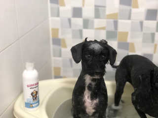 유짱님이 올린 리뷰 사진 2