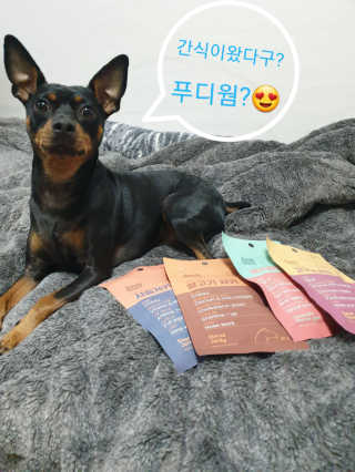 푸디웜 주식회사 [푸디웜] 강아지 저알러지 수제간식 4종세트 — 5점을 준 리뷰어가 2018년 12월 올린 사용 사진