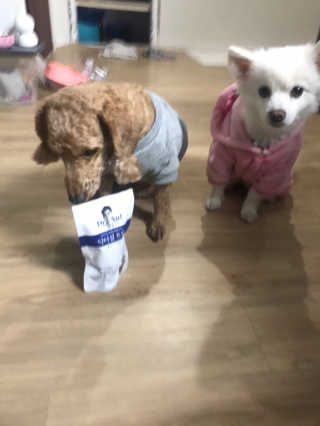 밍크찡님이 올린 리뷰 사진 2