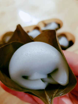 o7902o님이 올린 리뷰 사진 1