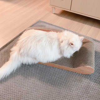 옘둥님이 올린 리뷰 사진 3