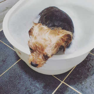 포포맘님이 올린 리뷰 사진 3