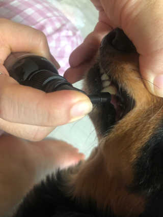 chakan님이 올린 리뷰 사진 2