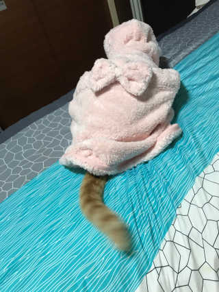 하린님이 올린 리뷰 사진 4