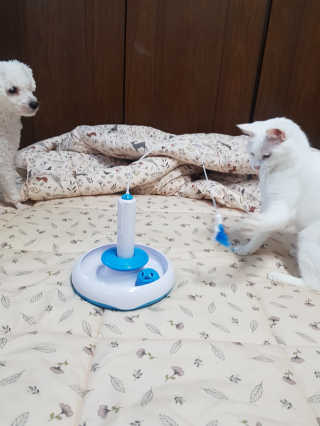 개나리빵님이 올린 리뷰 사진 1