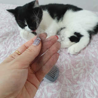 숑이님이 올린 리뷰 사진 3