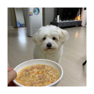 [펫토리아] 토로토로 하치  강아지 파우치간식 — 5점을 준 리뷰어가 2019년 6월 올린 사용 사진