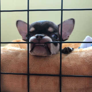 당근님이 올린 리뷰 사진 1