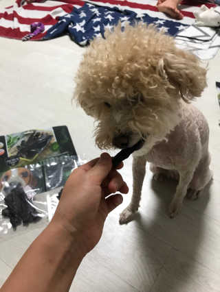 모모맘님이 올린 리뷰 사진 3