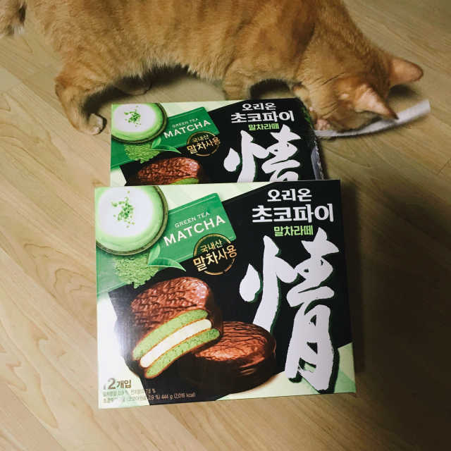 초코파이 말차라떼 리뷰 사진