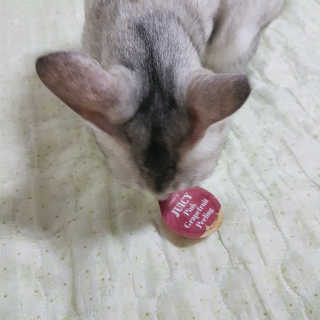 이응애님이 올린 리뷰 사진 2