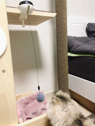 꼬끼오님이 올린 리뷰 사진 1