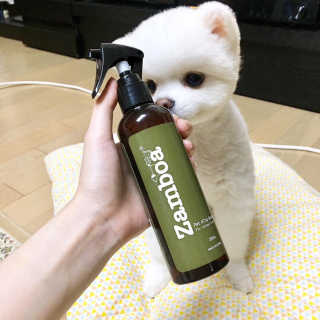 군팡쓰님이 올린 리뷰 사진 1