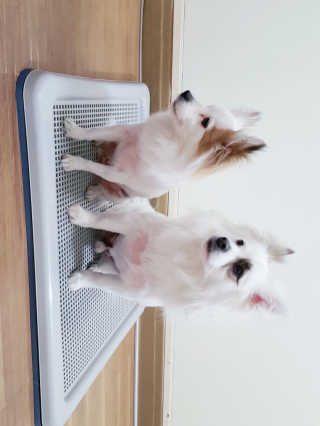 에일린님이 올린 리뷰 사진 3