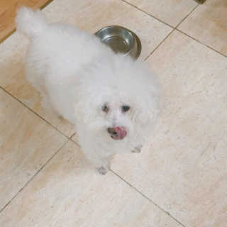 럭해님이 올린 리뷰 사진 3