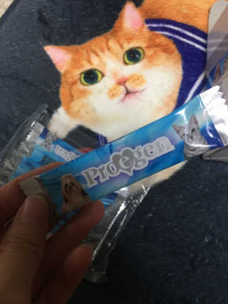 하나님이 올린 리뷰 사진 2