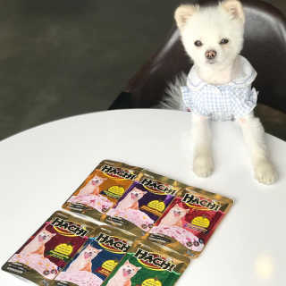 [펫토리아] 토로토로 하치  강아지 파우치간식 — 5점을 준 리뷰어가 2019년 7월 올린 사용 사진